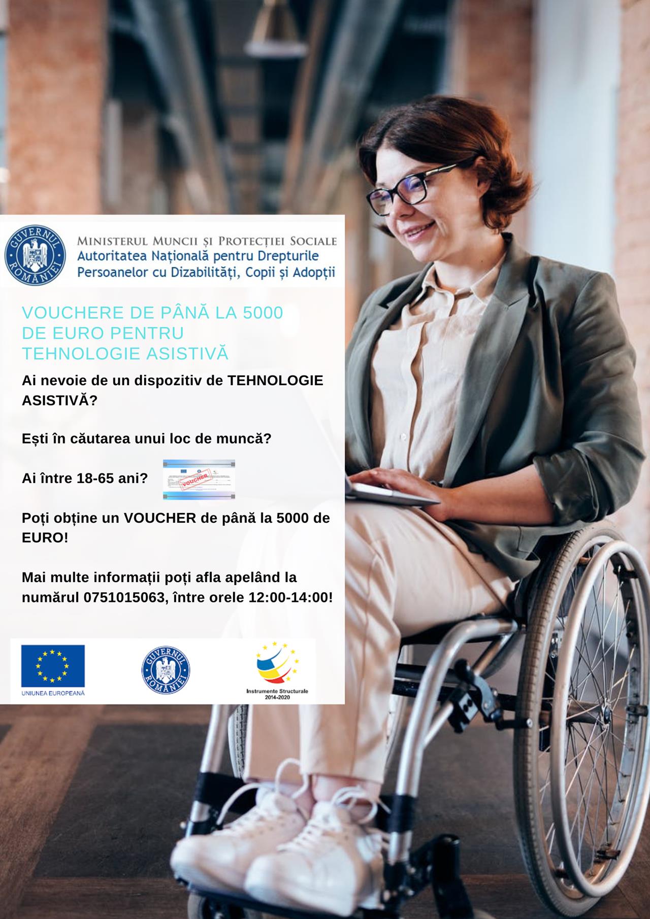 Proiectul Facilitarea Insertiei pe piata muncii a persoanelor cu dizabilitati