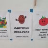 CABR-Campina2