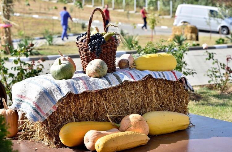 ziua-internationala-a-persoanelor-varstnice2