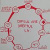 Ziua-internationala-a-drepturilor-copiilor4