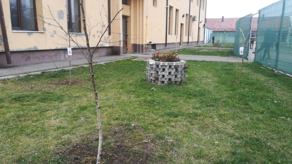 Planteaza-speranta-6
