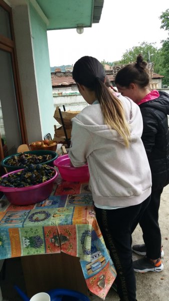 Pregatiri-de-toamna-2