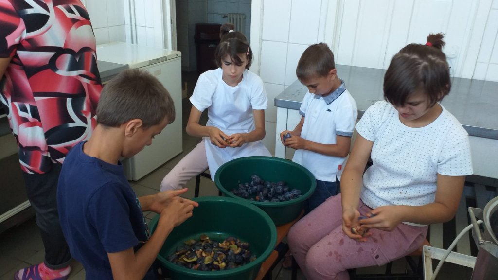 Pregatiri-de-toamna-3