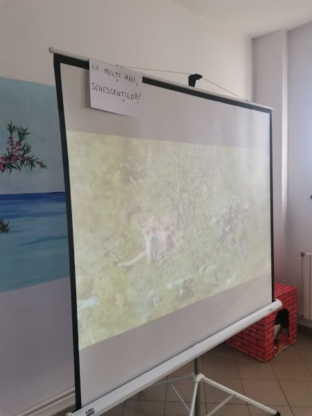 Ziua-Internationala-a-persoanelor-varstnice9