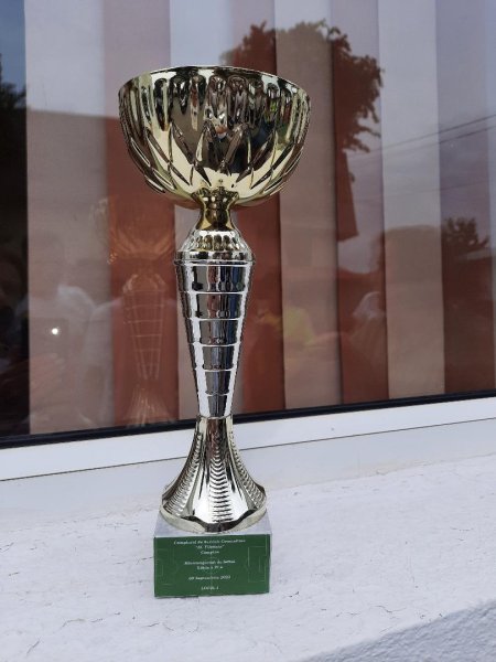 Mini-Campionat-de-fotbal6