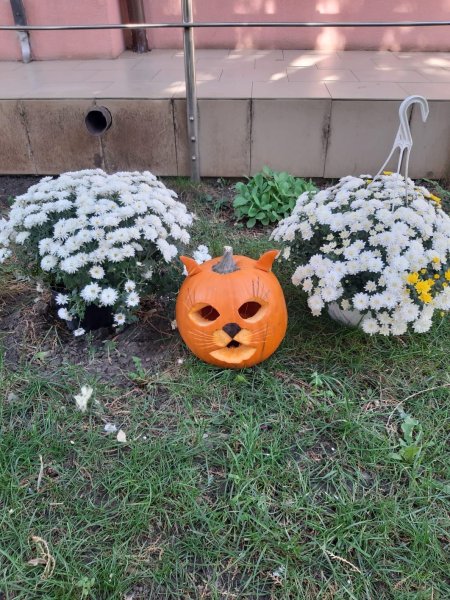 Halloween 2024