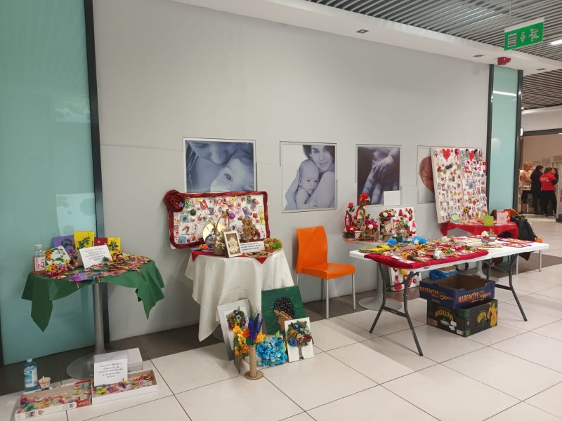 Maiestrii-de-primavara3