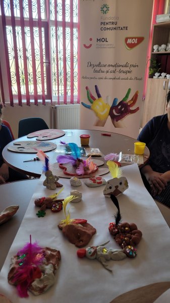 proiect-Mol-pentru-sanatatea-copiilor4