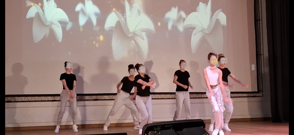 FESTIVALUL NAȚIONAL DE DANS “FUN FEST DANCE”, Ediția I