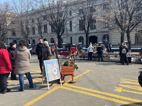 Maiestrii de primavara 2025