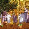 halloween8