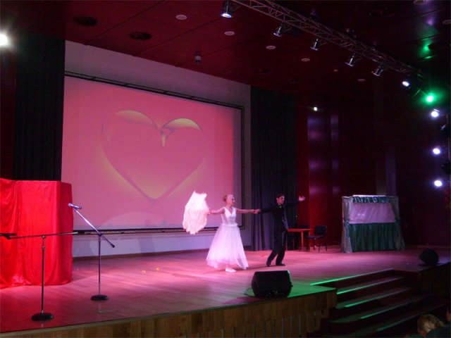 dgaspc_inimi10
