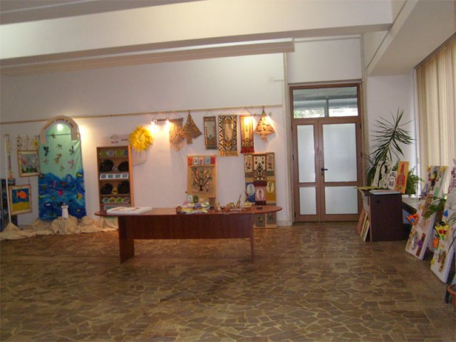 dgaspc_inimi14